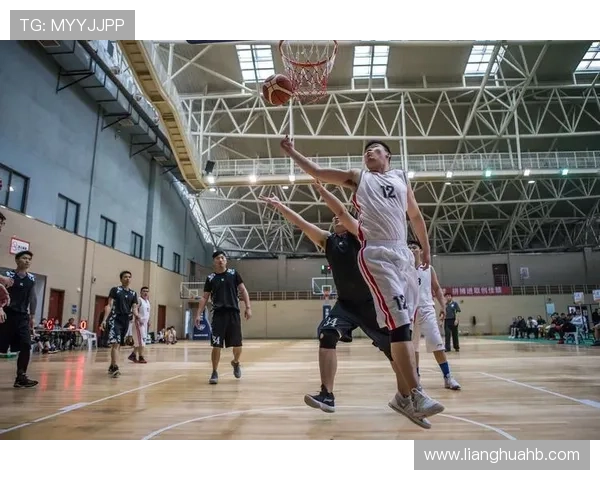 刘娜独家篮球心得分享：从基础技巧到实战经验的全面解析与提升建议